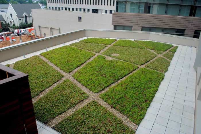 Green commercial roofing systems