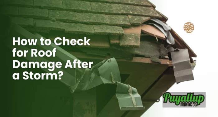 How to Check for Roof Damage After a Storm? - Puyallup Roofing Company ...