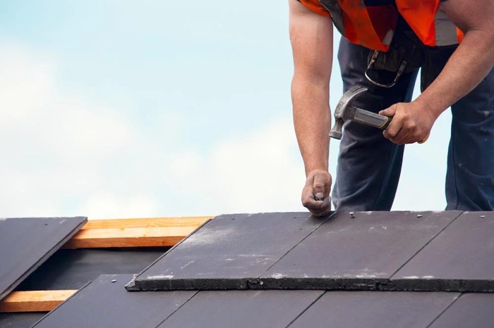 5 Signs Your Roof Needs Immediate Repair (Before It’s Too Late)
