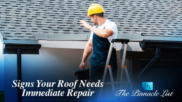Signs Your Roof Needs Immediate Repair – The Pinnacle List