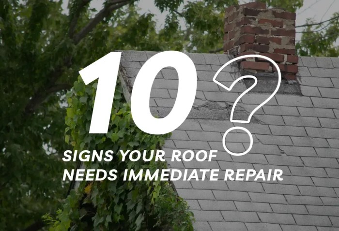 10 Signs Your Roof Needs Immediate Repair – berkshireroofs.co.uk