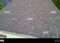 Hail Damage Roof Inspections - Great Lakes Adjusters